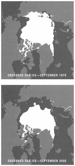 Sea Ice 1979-2005