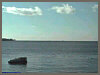 Gloucester Harbor Cam