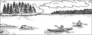 kayak