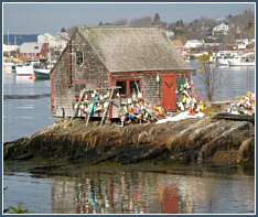 Lobster Shack