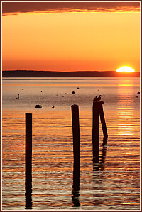 Rockland Harbor