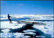 crossing ice, Beaufort Sea
