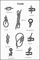 Knots